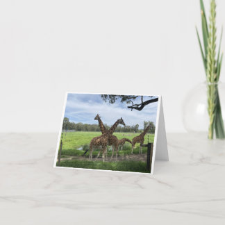 Folding Card - Giraffe Love Card