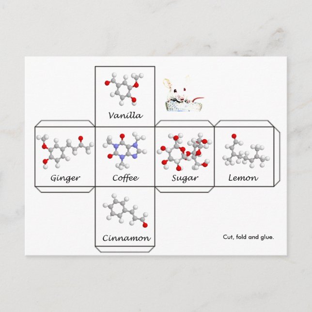 Folding cookie box postcard (Front)