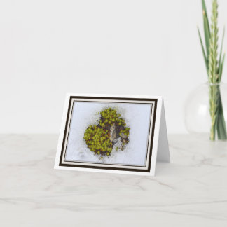 Folding Greeting Card – Alpine Grass, Austria
