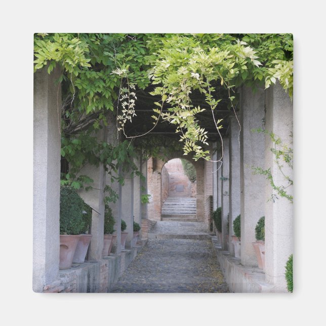 Foliage Covered Walkway, Spain Magnet (Front)