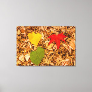 FOLIAGE on canvas print