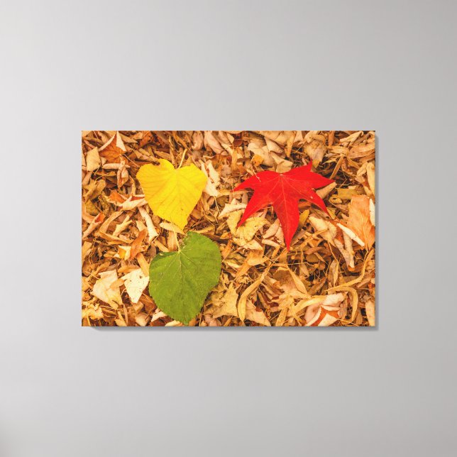 FOLIAGE on canvas print (Front)