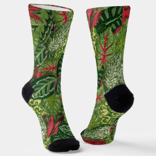 Foliage Socks