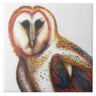 Folk Art Barn Owl Tile, By David I Stromberg Tile