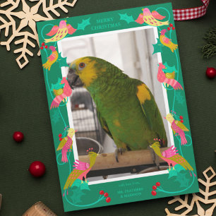 Folk Art Birds, Custom Greeting Photo Holiday Card