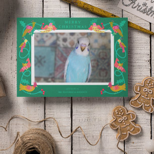 Folk Art Birds, Custom Greeting Photo Holiday Card