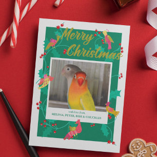 Folk Art Birds, Custom Photo Christmas Holiday Card
