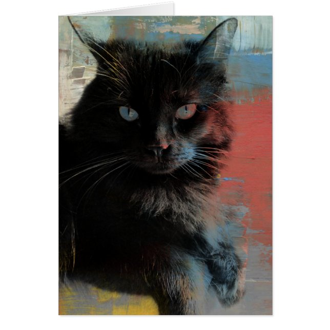 Folk Art, Black Cat Red White Blue background (Front)