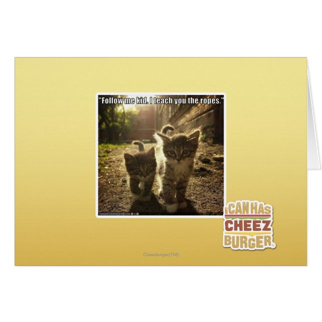 Follow Me Kid (Front Horizontal)