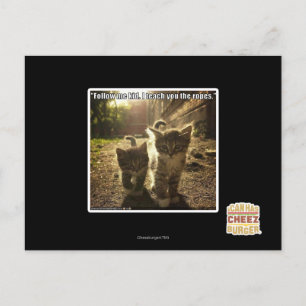 Follow Me Kid Postcard