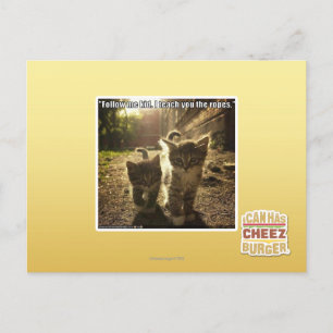 Follow Me Kid Postcard