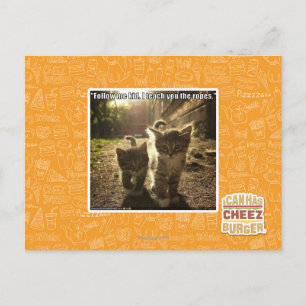 Follow Me Kid Postcard