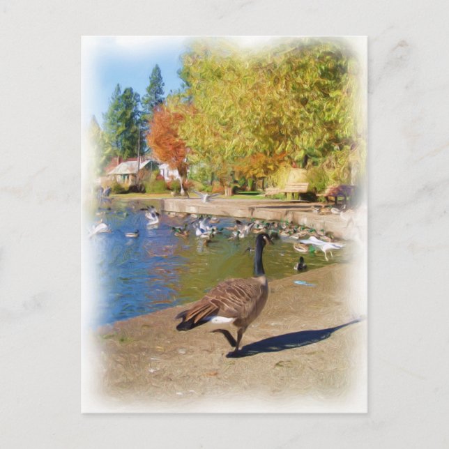 Follow me postcard (Front)