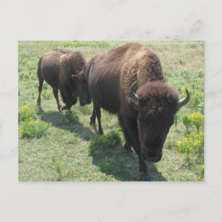 Follow me postcard