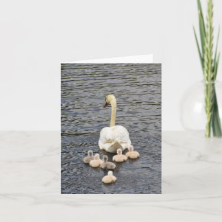 Follow (Mute swan cygnets #4) - Blank Note Card