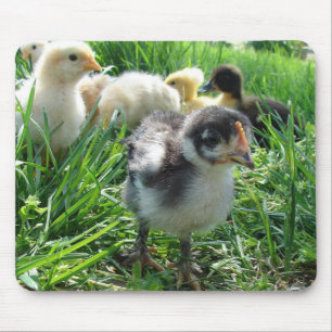 Follow The Leader Mouse Mat