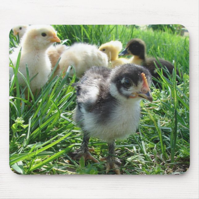 Follow The Leader Mouse Mat (Front)