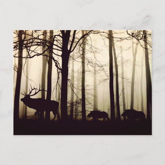 Follow the Leader Postcard (Front)