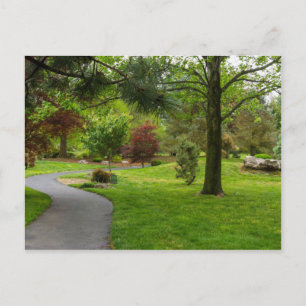Follow The Path Pano Postcard