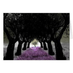 Follow The Purple Grass Path
