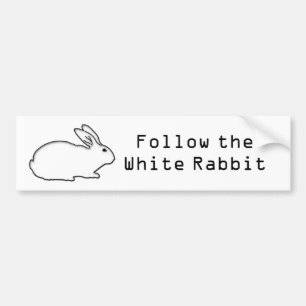 Follow the White Rabbit Bumper Sticker