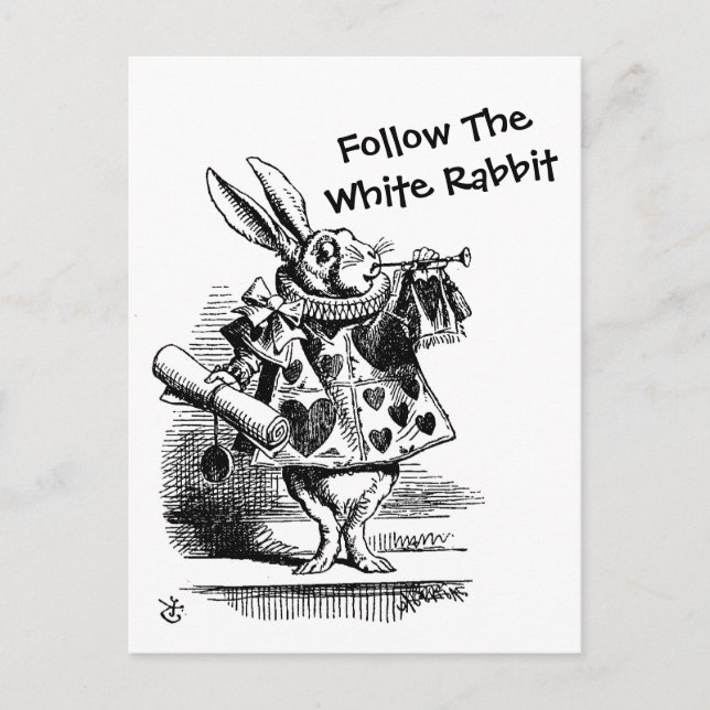 Follow The White Rabbit  CC0257 Postcard (Front)