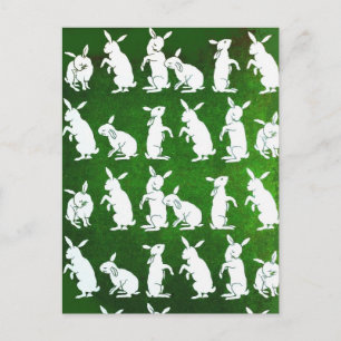 Follow the White Rabbit postcard