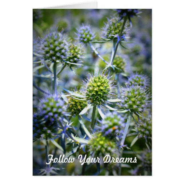 Follow Your Dreams (Front)