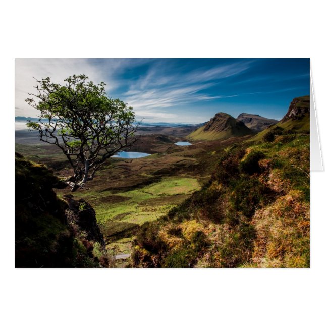 Follow your dreams! (Front Horizontal)