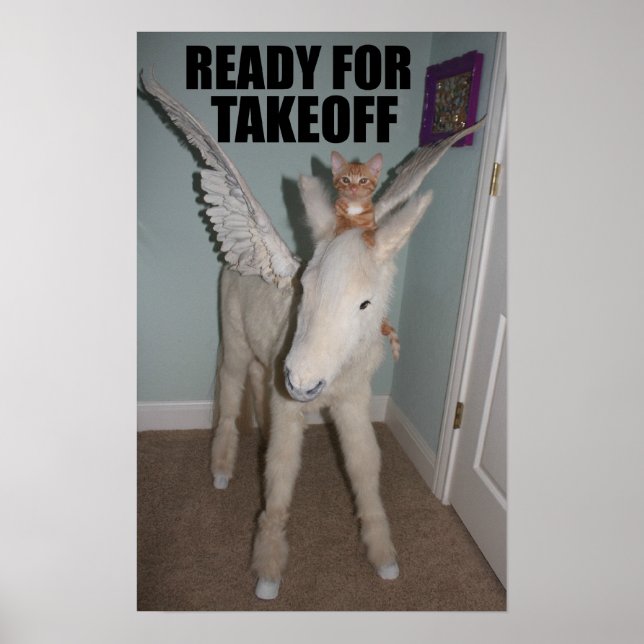 Follow your dreams.  Even if you're a cat. Poster (Front)