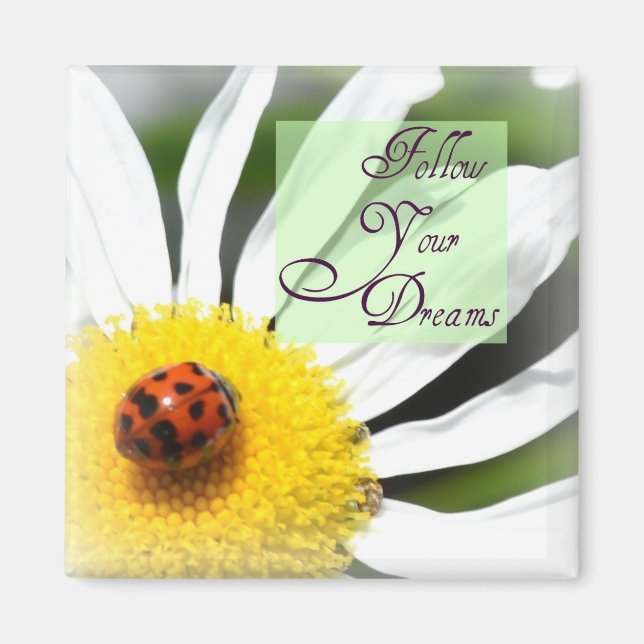 Follow Your Dreams Ladybug Magnet (Front)