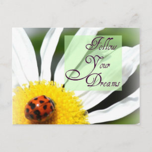 Follow Your Dreams Ladybug Post Card