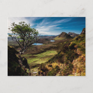 Follow your dreams! postcard