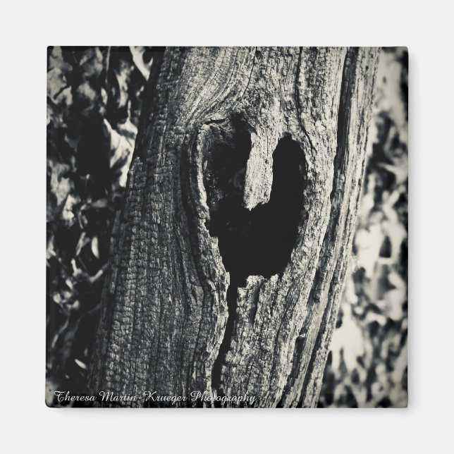 "Follow Your Heart" Magnet (Front)