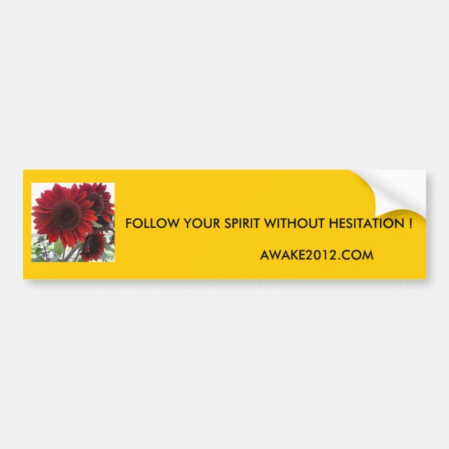 FOLLOW YOUR SPIRIT ... BUMPER STICKER (Front)
