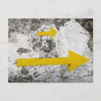 Following the Yellow Arrows Postcard