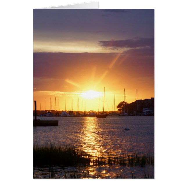 Folly River Sunrays (Front)