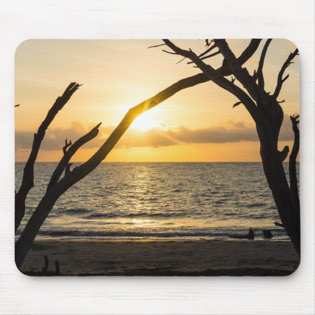 Folly Sunrise Tree Silhouette Mouse Mat (Front)