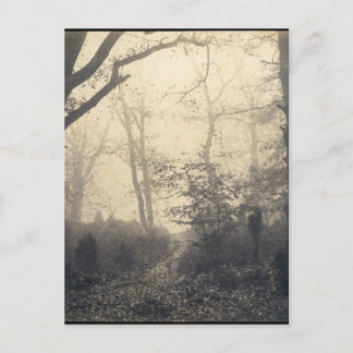 Fontainebleau Forest Postcard
