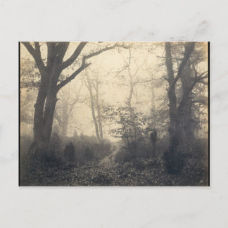 Fontainebleau Forest Postcard