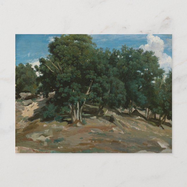Fontainebleau Oak Trees Postcard (Front)