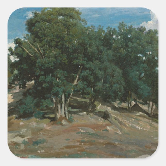 Fontainebleau Oak Trees Square Sticker (Front)