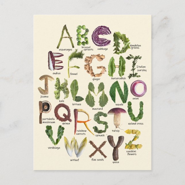 Food Alphabet Postcard (Front)