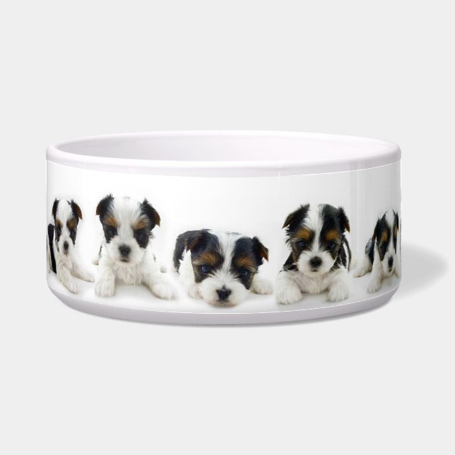 Food Bowl - Biewer Terrier Puppy (Front)