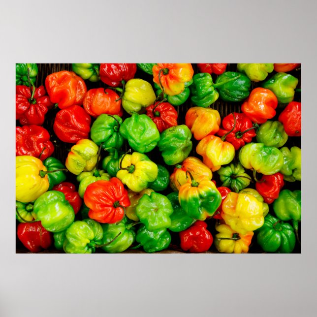 Food colourful Modern Photography Poster (Front)