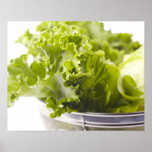 Food, Food And Drink, Vegetable, Lettuce, Poster