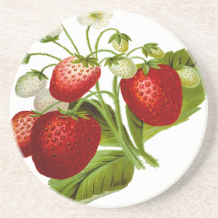 Food fruit leaf leafy leaves coaster