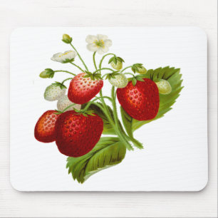 Food fruit leaf leafy leaves mouse mat