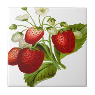 Food fruit leaf leafy leaves tile