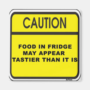 Food Illusion Magnet